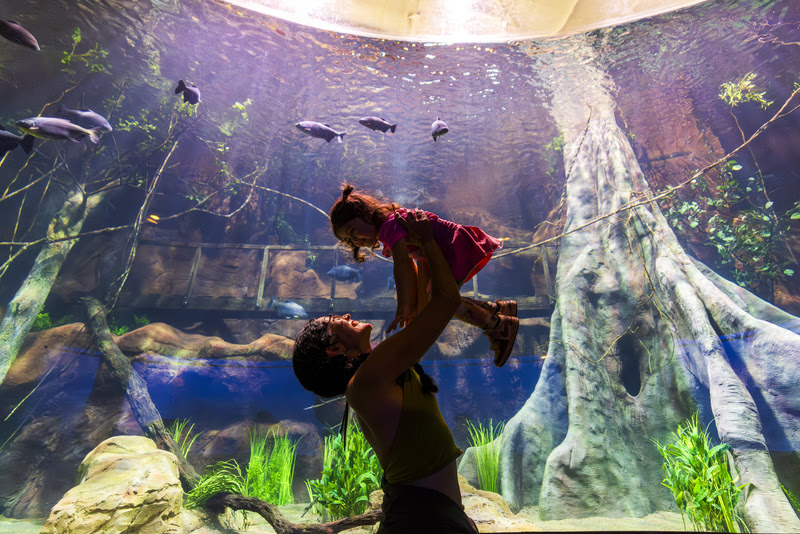 Com investimento de R$ 140 milhões, AquaFoz é inaugurado em Foz do Iguaçu com presença de autoridades